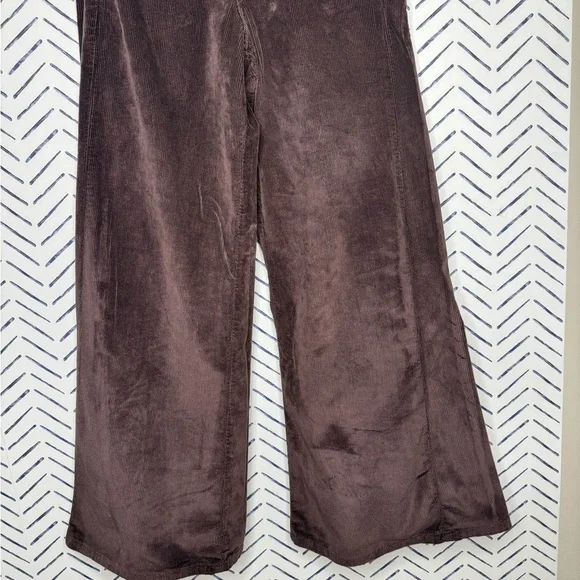 Anthropologie Pilcro Adi Mid-Rise Relaxed Flare Jeans Corduroy Wide Leg Size 27 - Picture 6 of 8